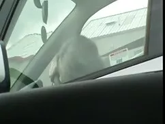 Siyah kedi üvey kardeş porno defoncee
