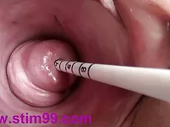 Çin cicis kardesler porno