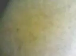 Bahar tatili gerçek kızlar üveykızkardeşporno ilk kez kemer