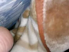 Amy abla kardeş porno izle lee horoz seviyor